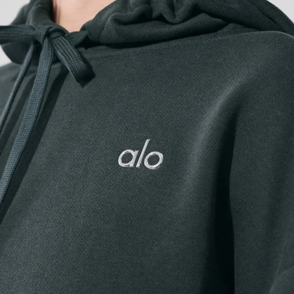Alo Yoga - Accolade Hoodie Charcoal green, UNISEX, size; M in, worn once. EUC. - Picture 3 of 15